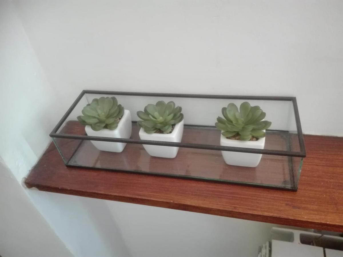 Apartament Sloneczny - Krynica Zdroj Buitenkant foto