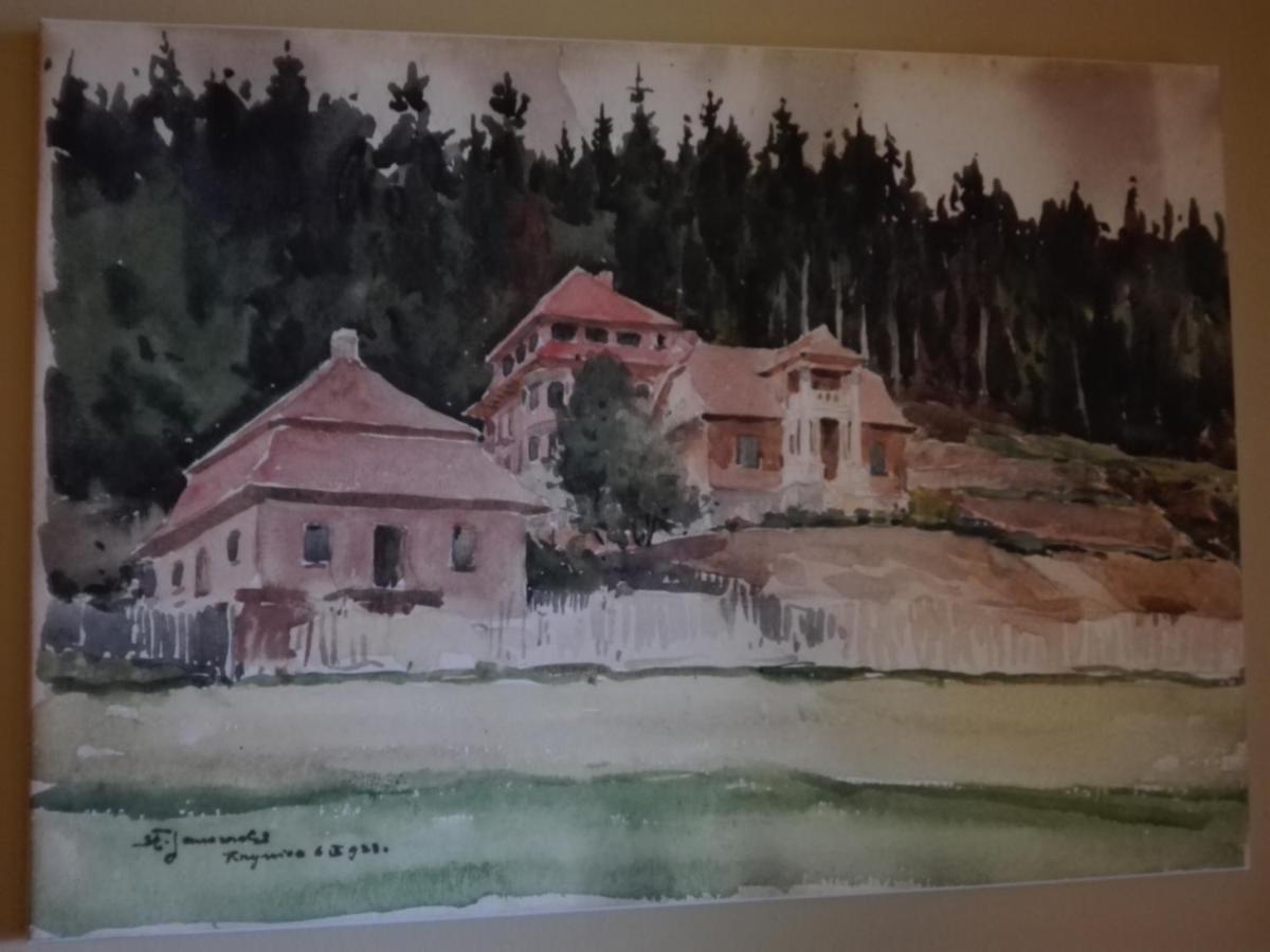 Apartament Sloneczny - Krynica Zdroj Buitenkant foto